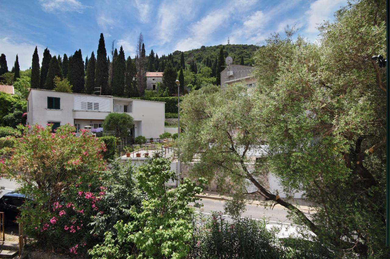 Guest house Vukosav Family And 3*
