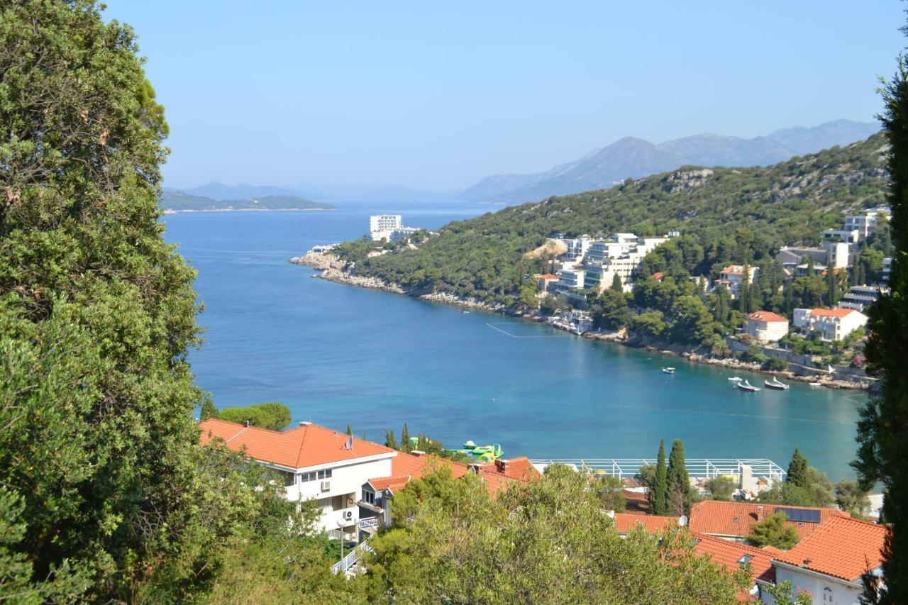 Vukosav Family And Guest house 3*